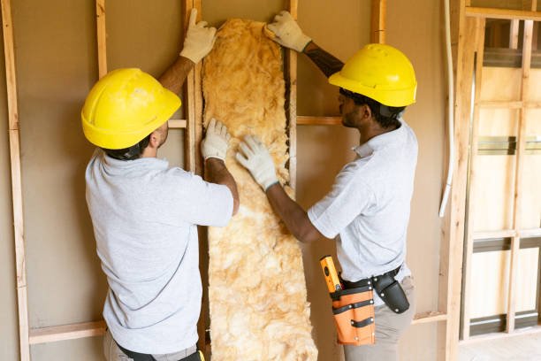 Best Insulation Removal Services  in Manawa, WI